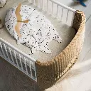 Coquillage_02.webp