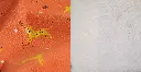 Motifs Léopard - Mouton Blanc.webp