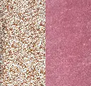 Motif Rosé - Mouton Rose.webp