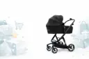 Landau – Baby Trolem